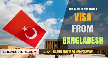 Step-by-Step Guide to Obtaining Indian Transit Visa for Bangladeshis
