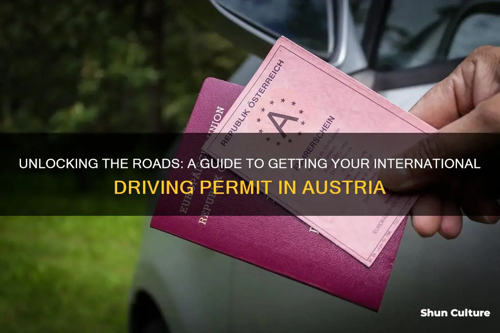 how to get international driving permit in austria