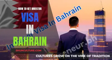 Bahrain Investor Visa: Steps to Obtain Your Entry