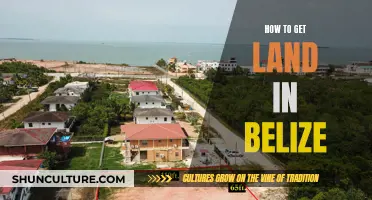 Belize Land Acquisition: A Guide to Buying Property