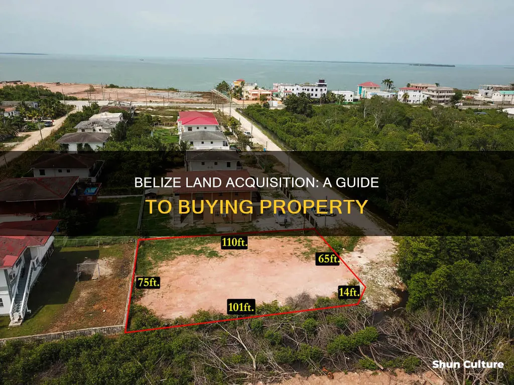 how to get land in belize