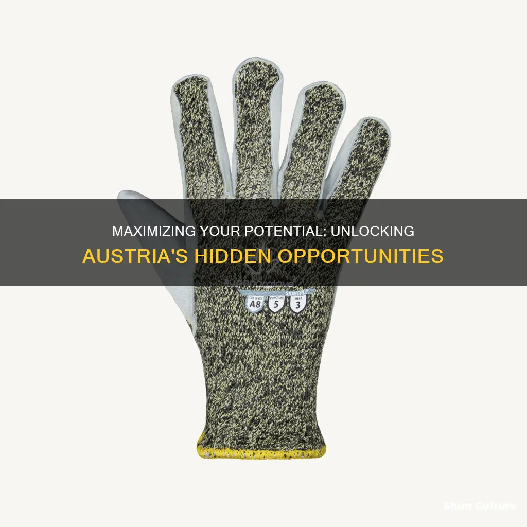 how to get maximum pus austria