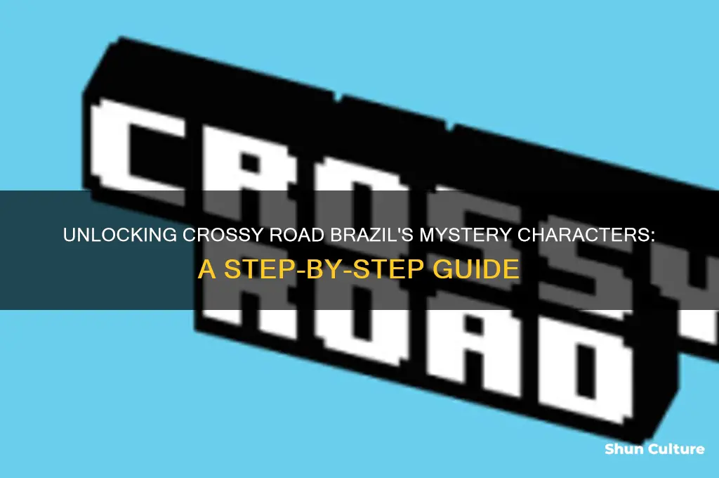 how to get mystery characters in crossy road brazil