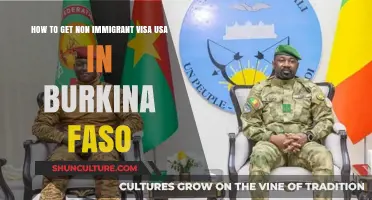 Navigating the Non-Immigrant Visa Process for the USA in Burkina Faso
