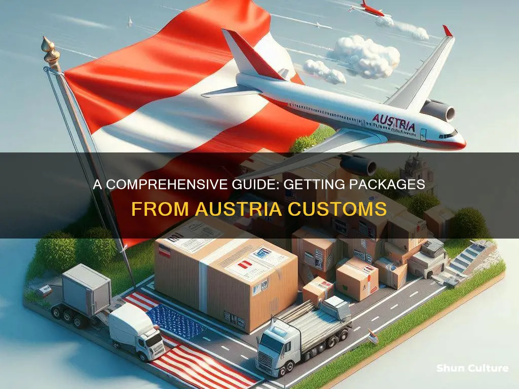 how to get packages from austria customs