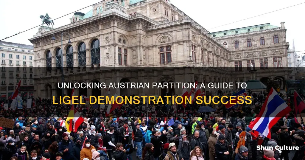 how to get parmition in austria for ligel demonstration