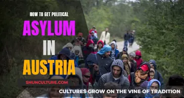 A Comprehensive Guide: Navigating Political Asylum in Austria