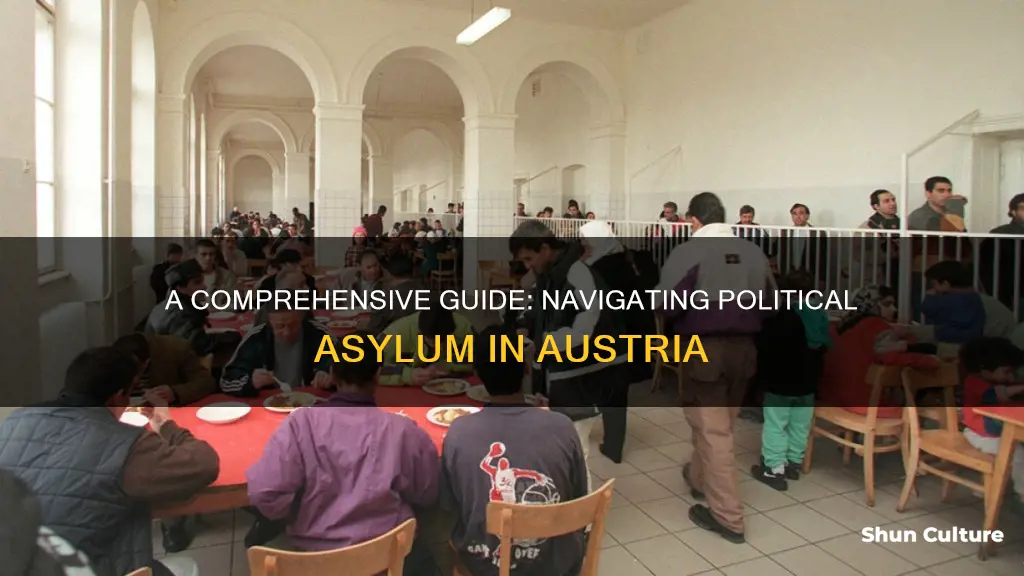 how to get political asylum in austria