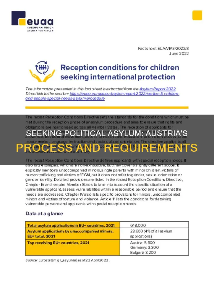 how to get political asylum in austria