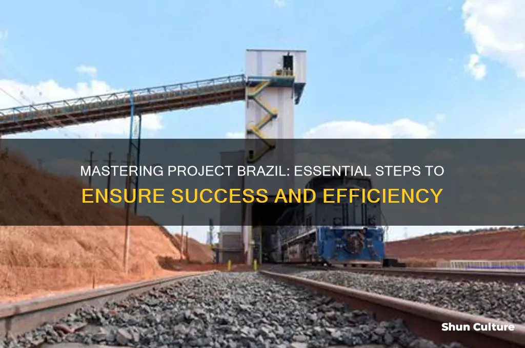 how to get project brazil to work