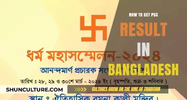 Easy Steps to Check Your PSC Exam Results in Bangladesh