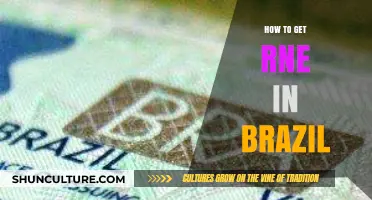Navigating Brazil's RNE Process: A Step-by-Step Guide for Foreigners