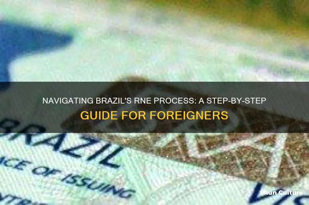 how to get rne in brazil