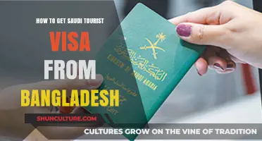 Step-by-Step Guide to Obtaining a Saudi Tourist Visa from Bangladesh