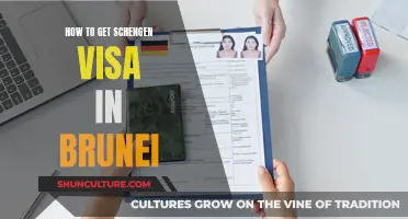 Schengen Visa Application Process for Bruneians: A Guide