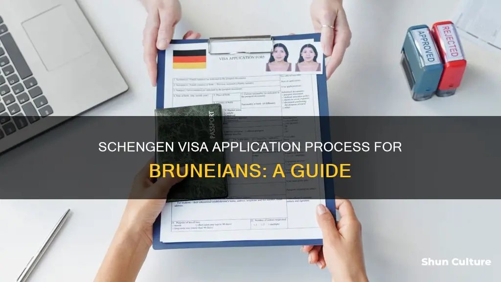 how to get schengen visa in brunei