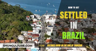 Settling in Brazil: A Comprehensive Guide to Starting Your New Life