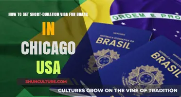 Quick Guide to Obtaining a Short-Duration Brazil Visa in Chicago