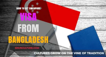 Singapore Visa Application Guide for Bangladeshi Citizens: Step-by-Step Process