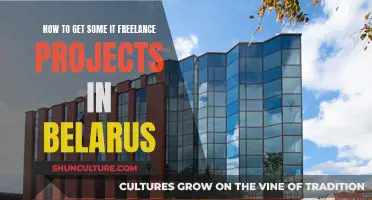 Freelancing in Belarus: Getting IT Projects