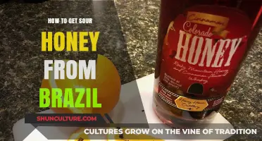 Discover Brazil's Unique Sour Honey: A Guide to Sourcing and Tasting