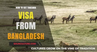 Tanzania Visa Guide: Application Process for Bangladeshi Travelers