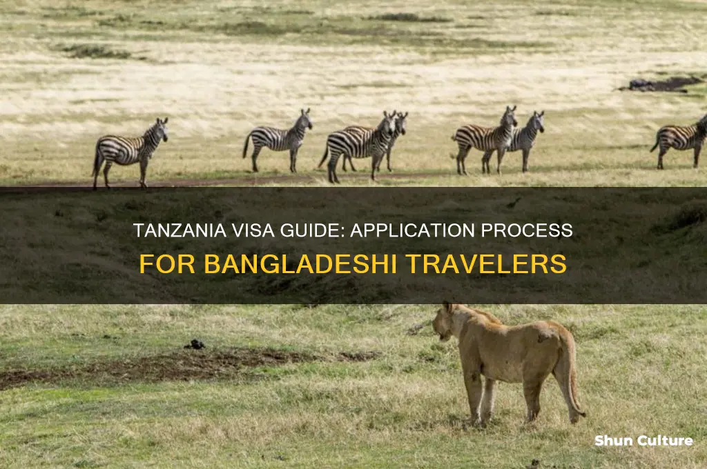 how to get tanzania visa from bangladesh