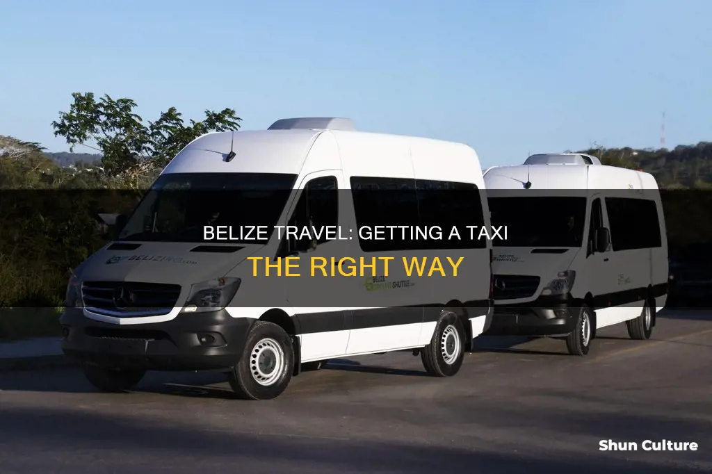 how to get taxi in belize