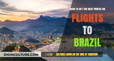 Smart Tips for Scoring Affordable Flights to Brazil