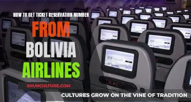 Bolivia Airlines: Retrieving Your Ticket Reservation Number