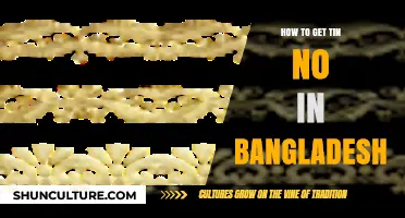 Step-by-Step Guide to Obtaining a TIN Number in Bangladesh