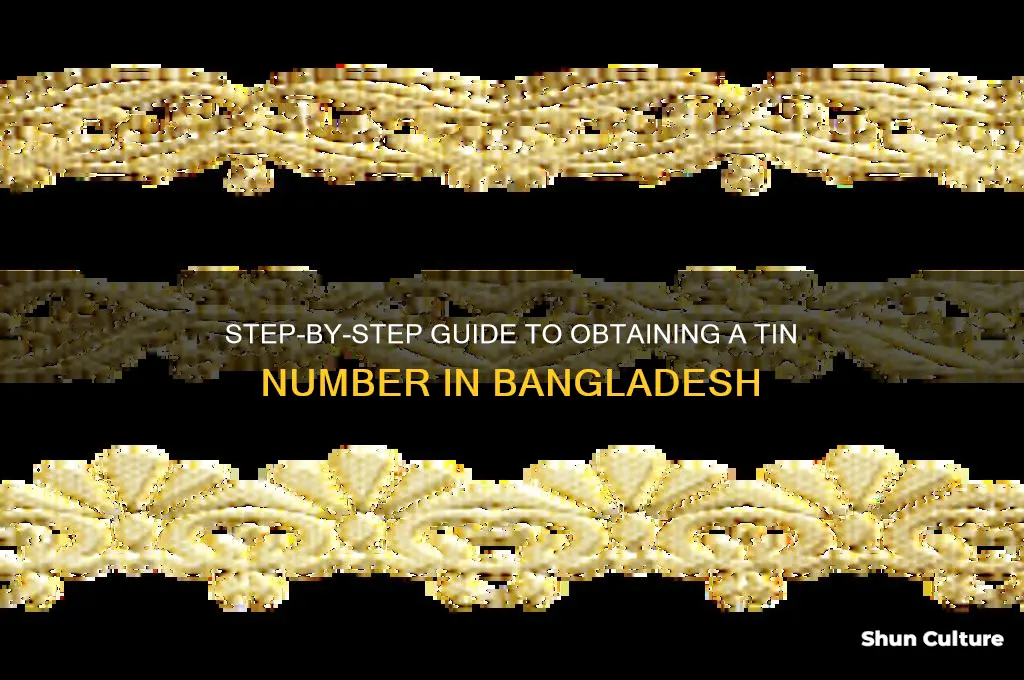 how to get tin no in bangladesh