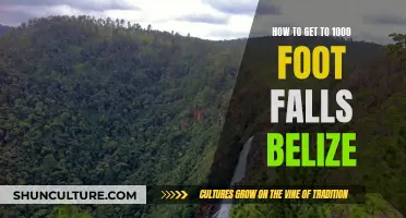 Discovering the Majestic 1000 Foot Falls in Belize