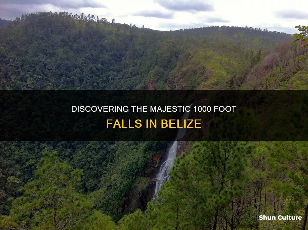 how to get to 1000 foot falls belize