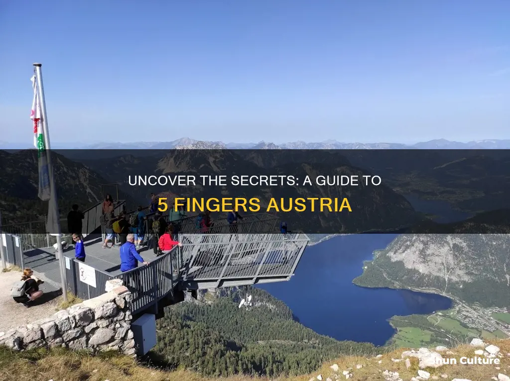 how to get to 5 fingers austria