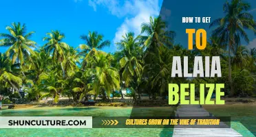 Exploring Belize: Getting to Alaia Made Easy