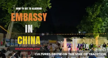 Navigating Your Way to the Algerian Embassy in China: A Guide