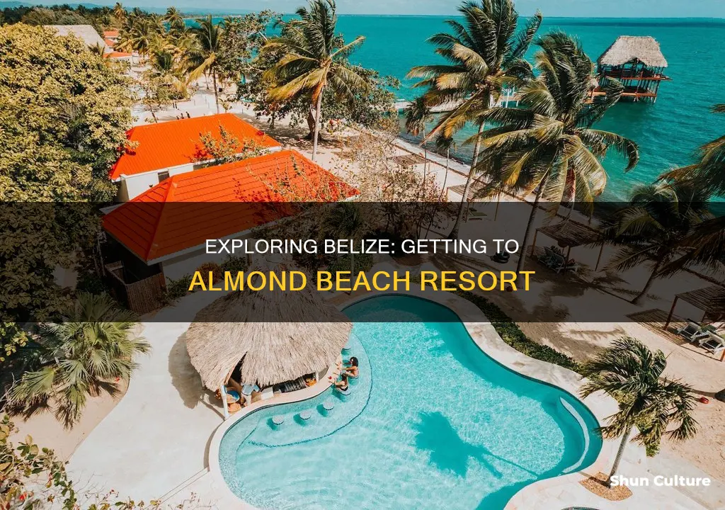 how to get to almond beach resort belize