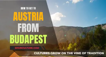 A Journey to Austria: Budapest to Vienna in a Day