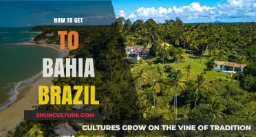 Discovering Bahia: Your Ultimate Travel Guide to Brazil's Paradise