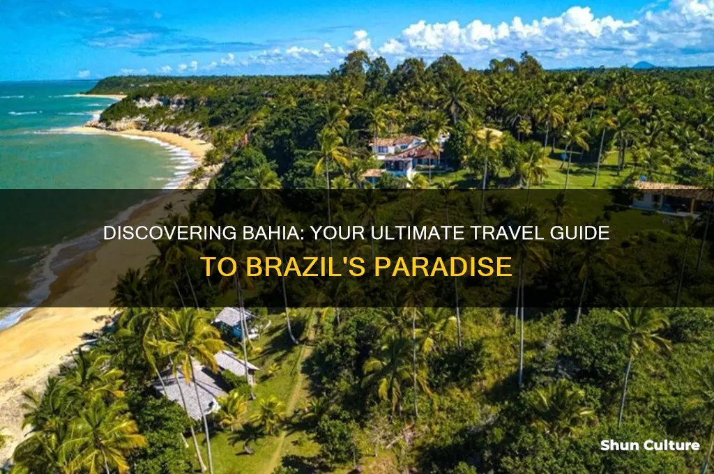 how to get to bahia brazil