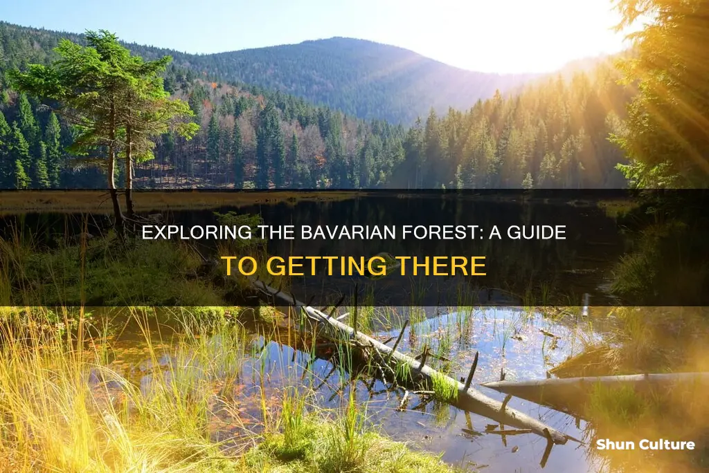 how to get to bavarian forest national park