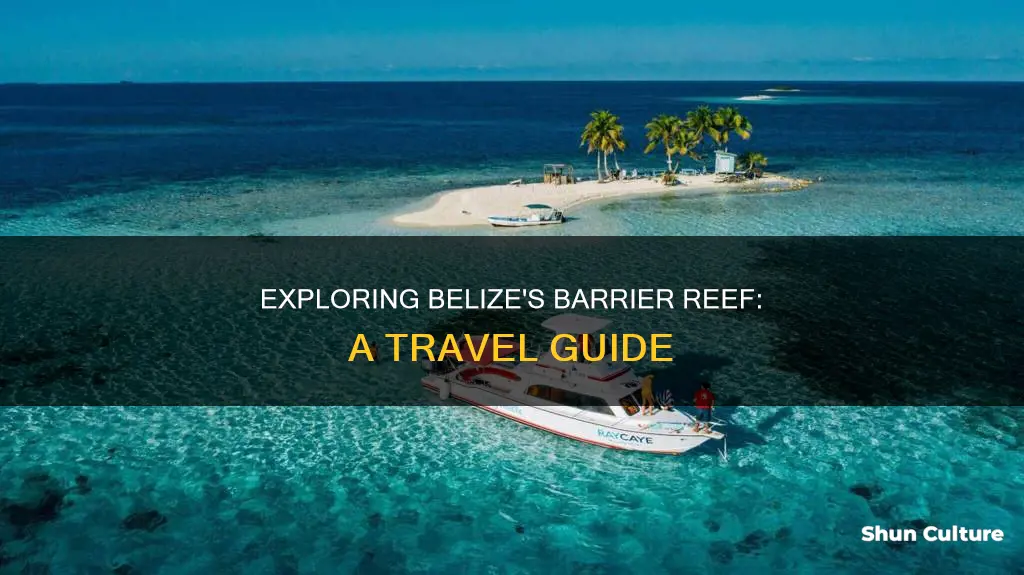 how to get to belize barrier reef