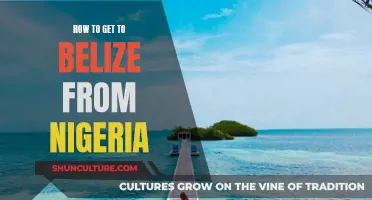 Travel Guide: Nigerians' Journey to Belize