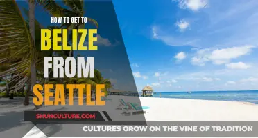 Belize Bound: Seattle to Belize Travel Guide