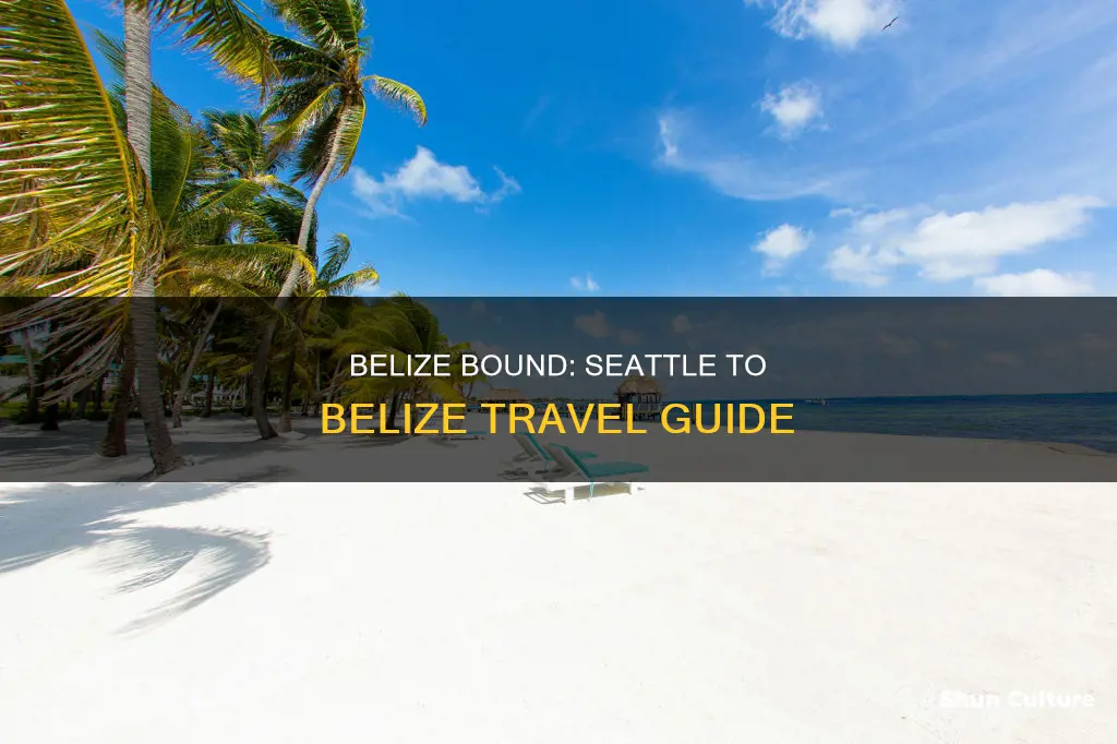 how to get to belize from seattle