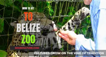 Belize Zoo: A Quick Guide to Getting There