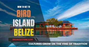 Exploring Belize: Bird Island Travel Guide