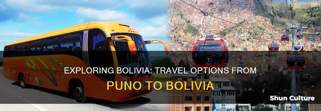 how to get to bolivia from puno