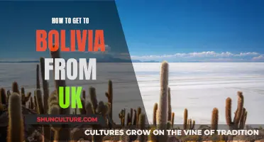 Travel Guide: UK to Bolivia